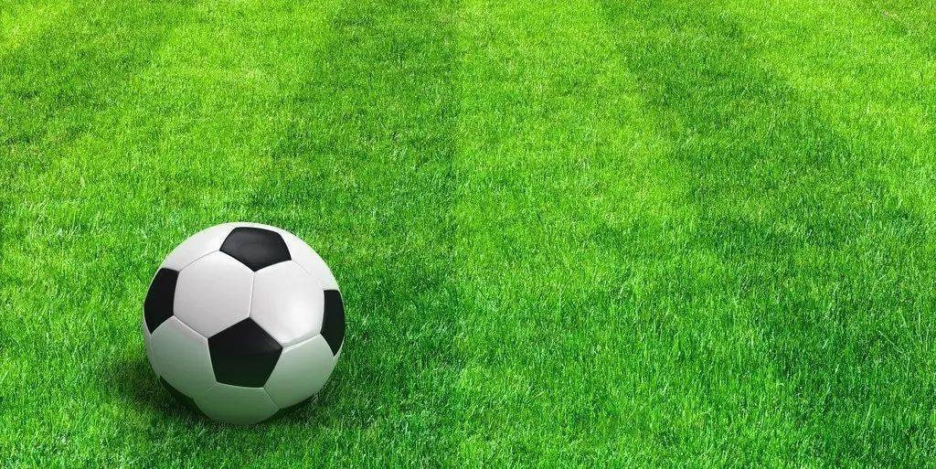 足球比分查询捷报标识